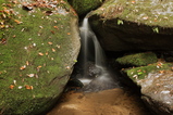 20081026-r1